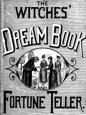 cover image of The Witches' Dream Book; and Fortune Teller